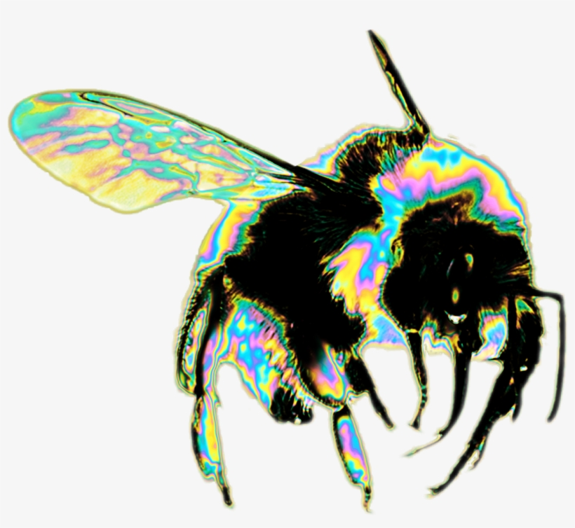 Transparent Tumblr Bee, transparent png