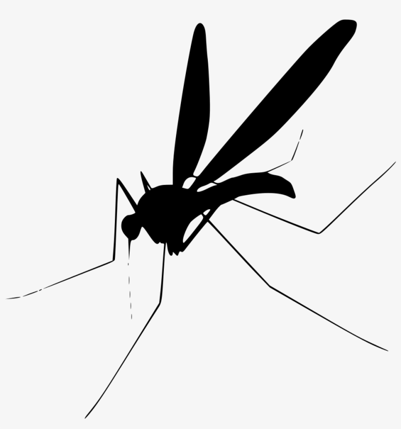 Mosquito Comments - Mosquito Png, transparent png