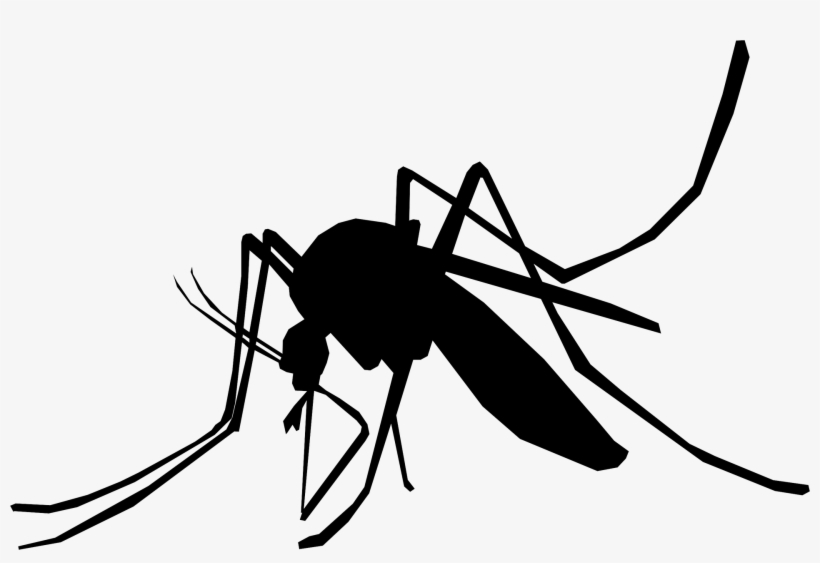 Download Png - Mosquito Black And White Png, transparent png
