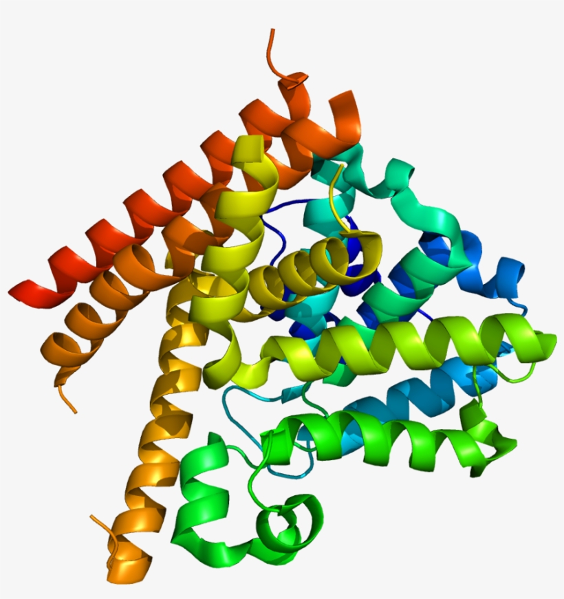 Protein Pde1b Pdb 1taz - Fosfodiesterasa 7, transparent png
