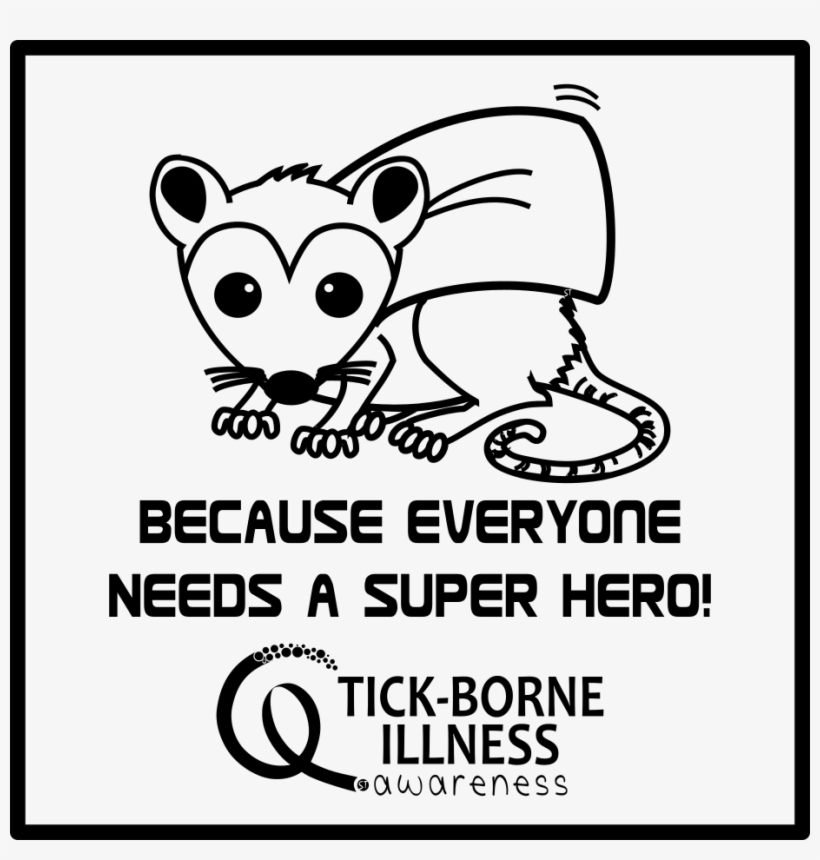 Png Digital File - Opossum, transparent png