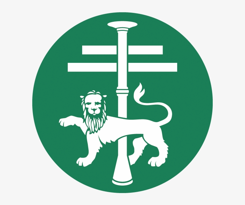 Bts Emergency Oxygen Audit Report - British Thoracic Society Logo, transparent png