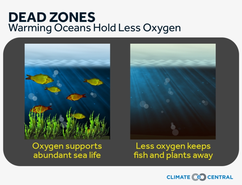 Jpg • Png - Tablet Computer, transparent png