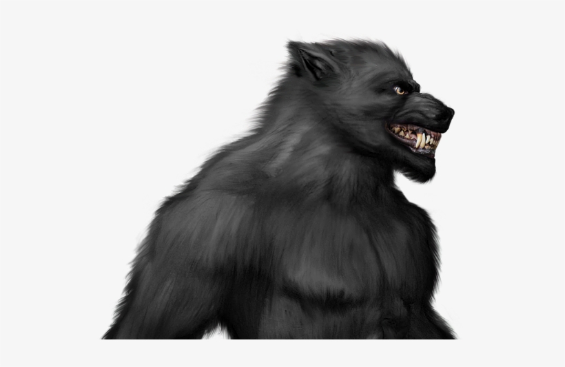 Hombre Lobo Licã¡ntropo - Werewolf Transparent, transparent png