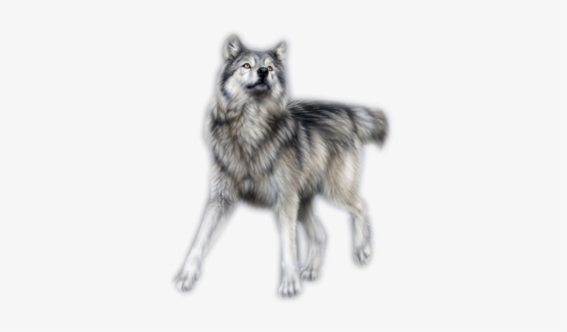 Name - Kyoch - Waterfly ' 15" 15.4" 15.6" Inch Laptop Notebook Computer, transparent png