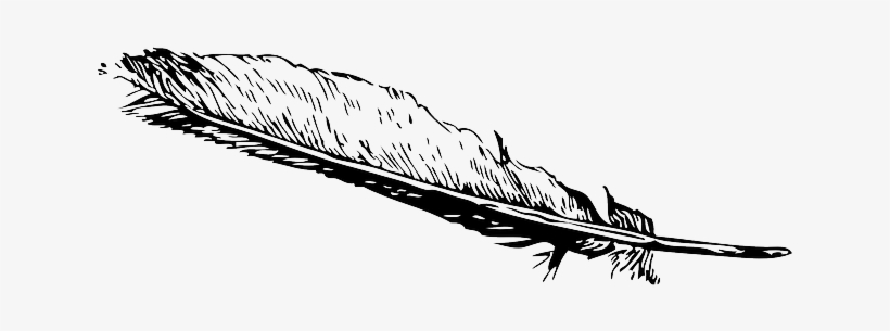 Outline, Feather, Cartoon, Eagle, Birds, Fly, Indian - Feather Clip Art, transparent png