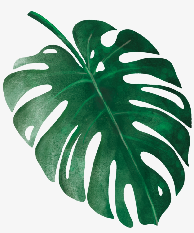 Tropical Leaves 9, transparent png