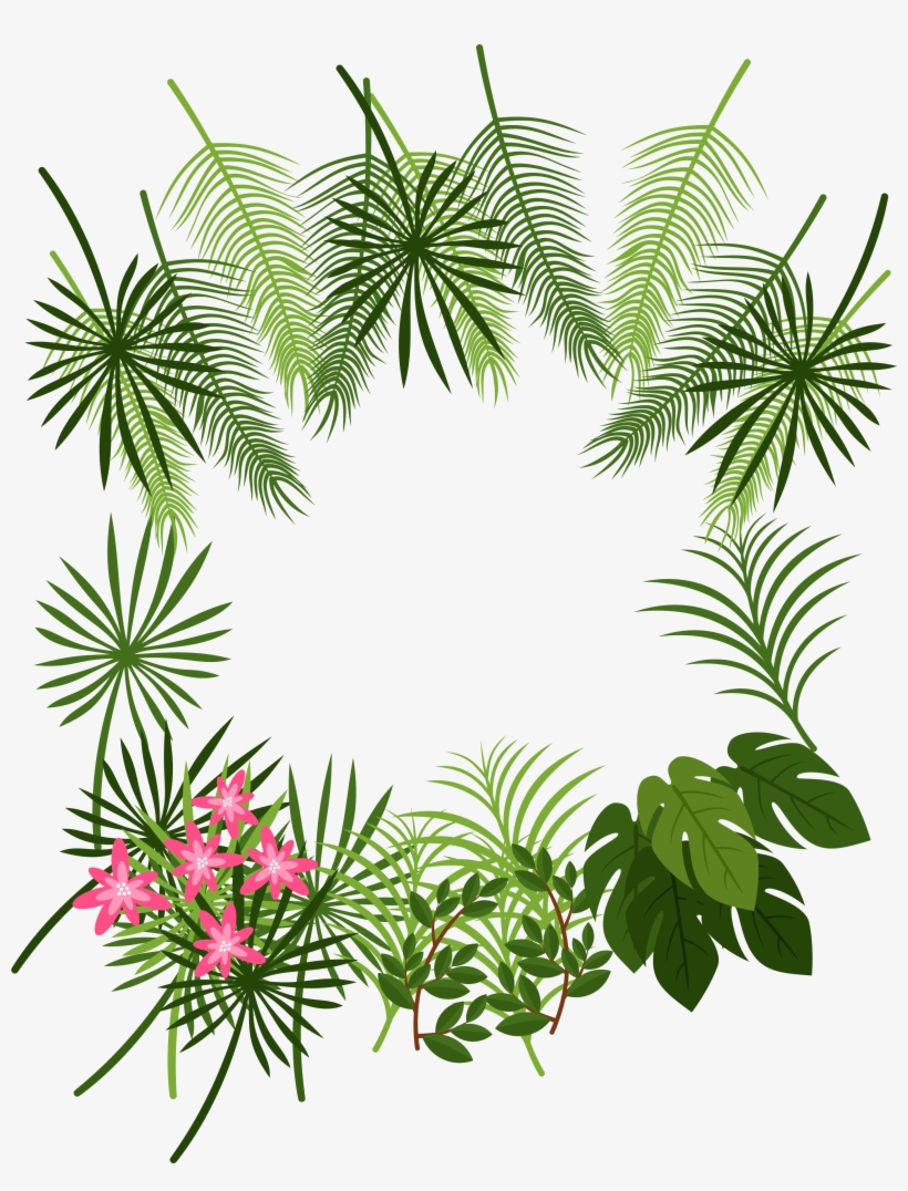 Arecaceae Leaf Tropics Plant Decoration Box Transprent - Tropical Leaves Border Png, transparent png