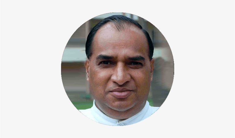Pulikkan Joy - .org, transparent png