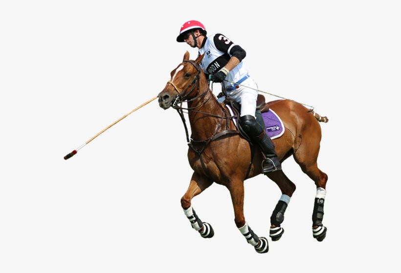 1 - Polo Sport Png, transparent png