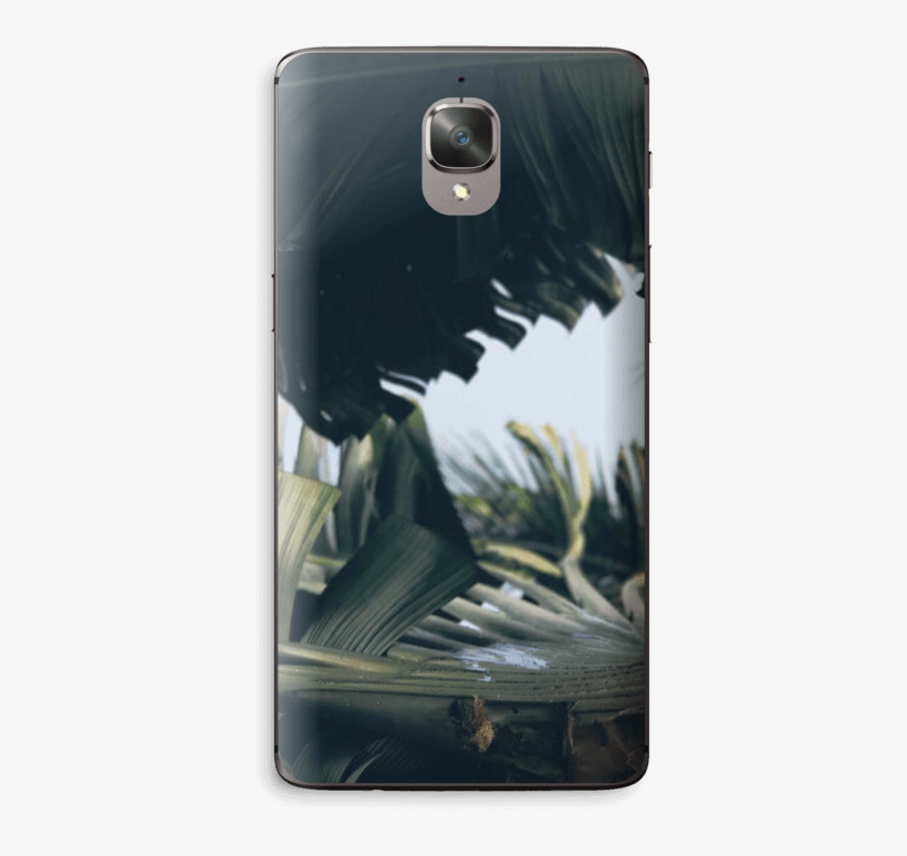 Tropical Leaves - Apple Ipad Family, transparent png