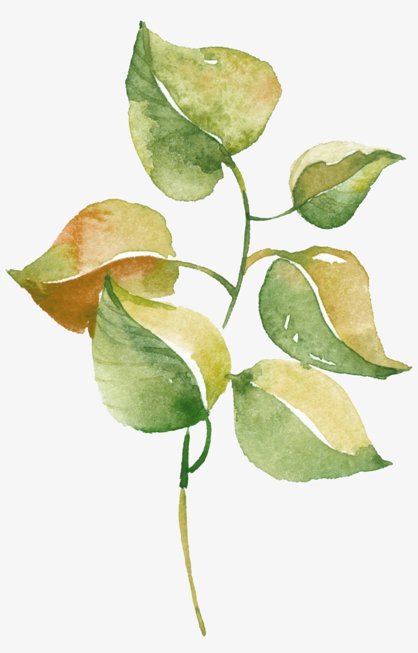 Watercolour Watercolor Pinterest - Trademark Art 'happy' By Color Bakery Textual Art On, transparent png