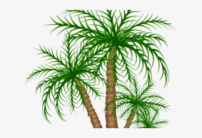 Date Palm Clipart Jurassic - Palm Trees, transparent png