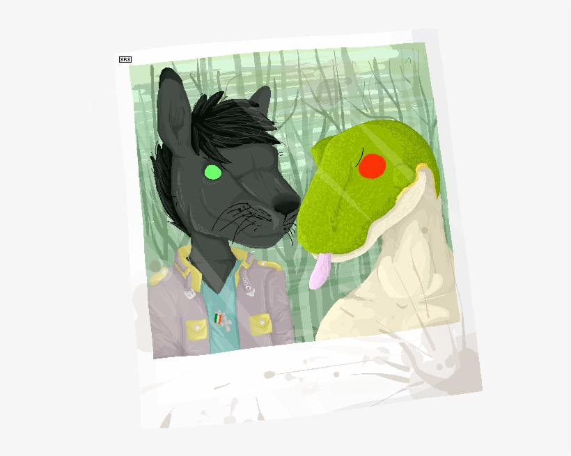 Coffee Stains And Secret Crushes - Schipperke, transparent png