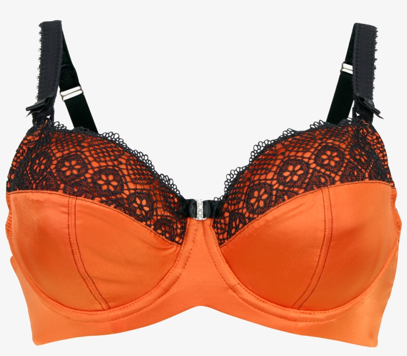 Ginger Macaroon Nursing Bra - Wired Bras, transparent png
