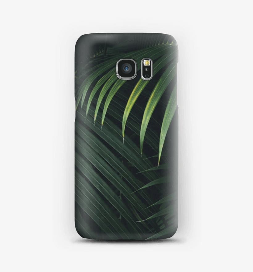 Palm Leaf Design - Iphone, transparent png