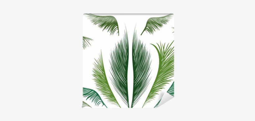 Leaf, transparent png