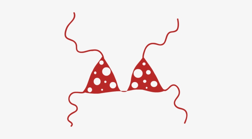 Bra Clip Art - String Bikini Clipart, transparent png
