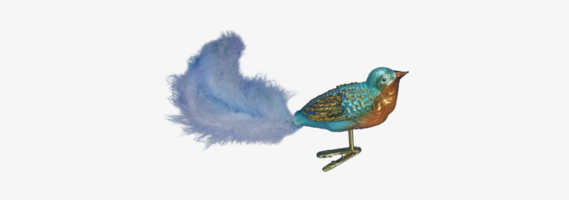 Forest Finch Ornament - Old World Christmas Forest Finch Glass Blown Ornament, transparent png