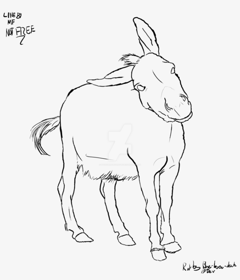 Line At Getdrawings Com Banner Free Stock - Donkey Lineart Png, transparent png