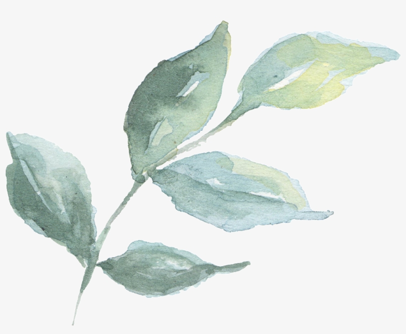 Hand Painted A Branch Of Green Branches Watercolor - Green, transparent png