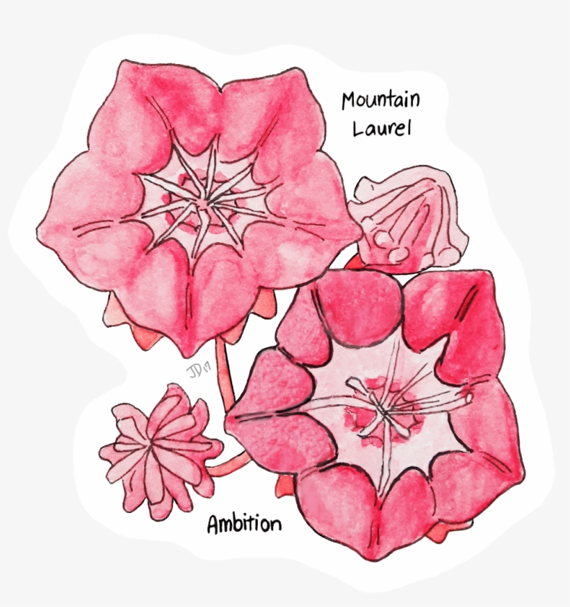 My Art Me Emotions Victorian Flower Language Flowers - Clematis, transparent png
