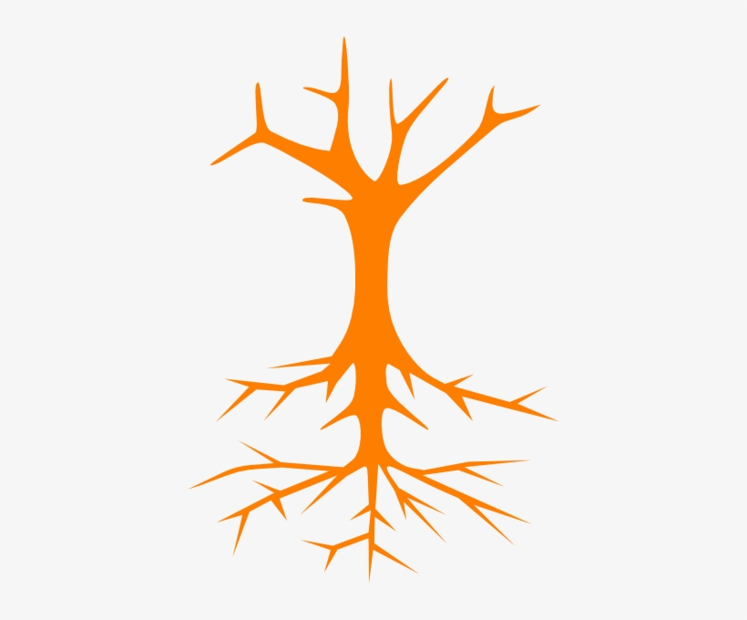 Root Clip Art - Parts Of A Tree Poster, transparent png