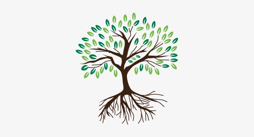 Attachment Is About Connection, And It's At The Heart - Transparent Tree With Roots Graphic, transparent png