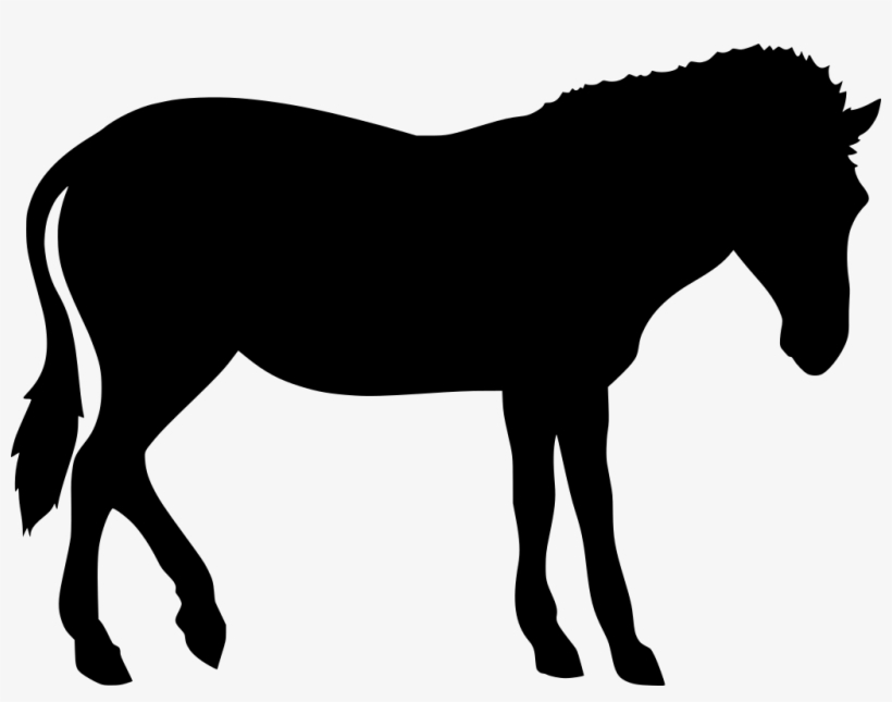 Download Png - Mane, transparent png