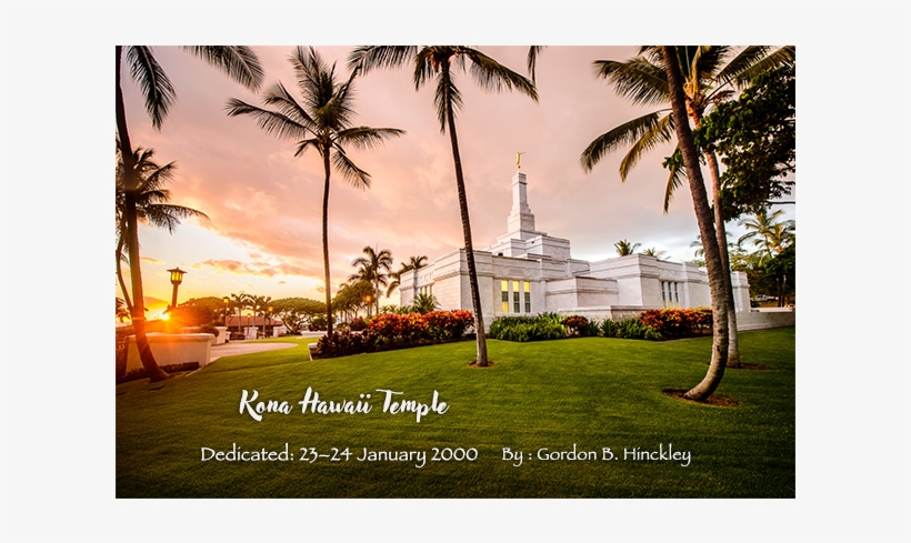 The Beloved Prophet Groden B - Attalea Speciosa, transparent png