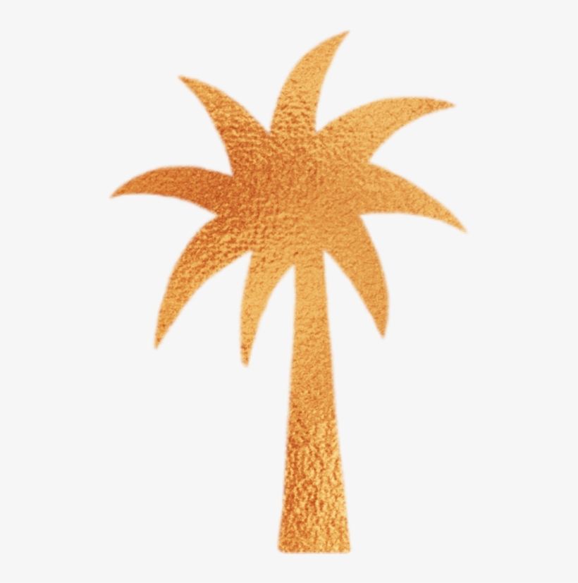 Palmtree - Illustration, transparent png