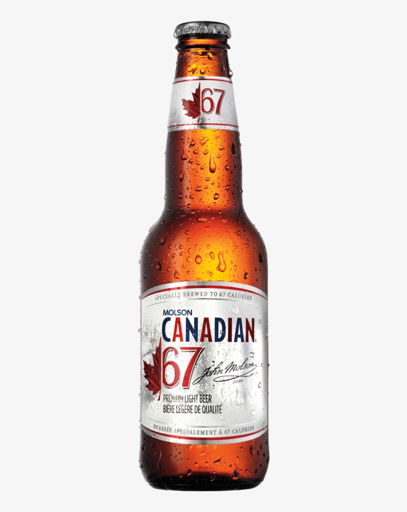 Molson Canadian Beer Bottle 340x1024 PNG Download PNGkit