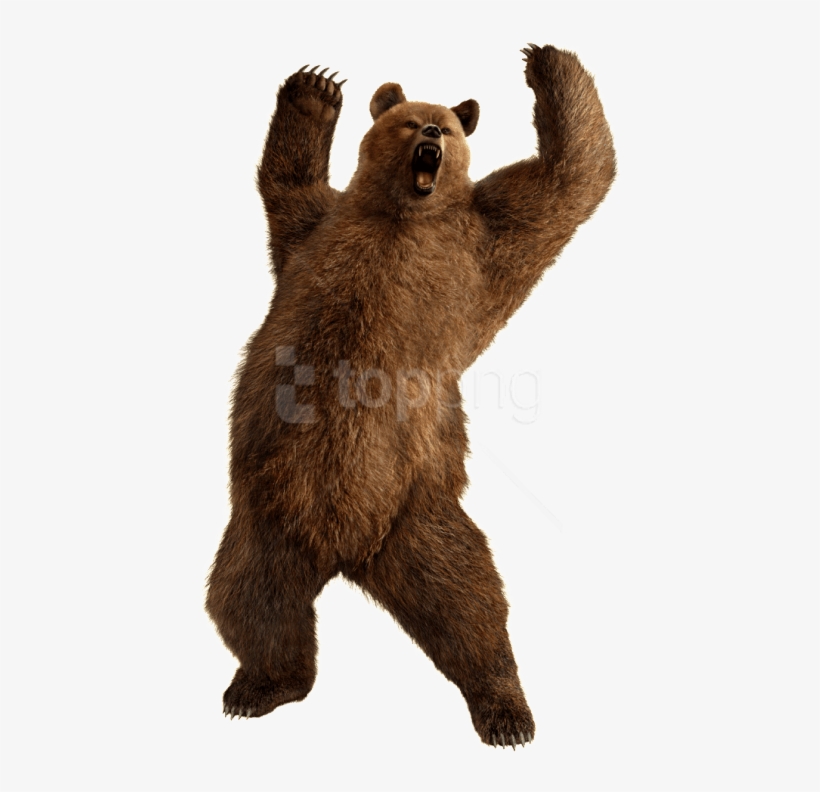 Free Png Download Bear Png Images Background Png Images - Kuma Tekken 6, transparent png