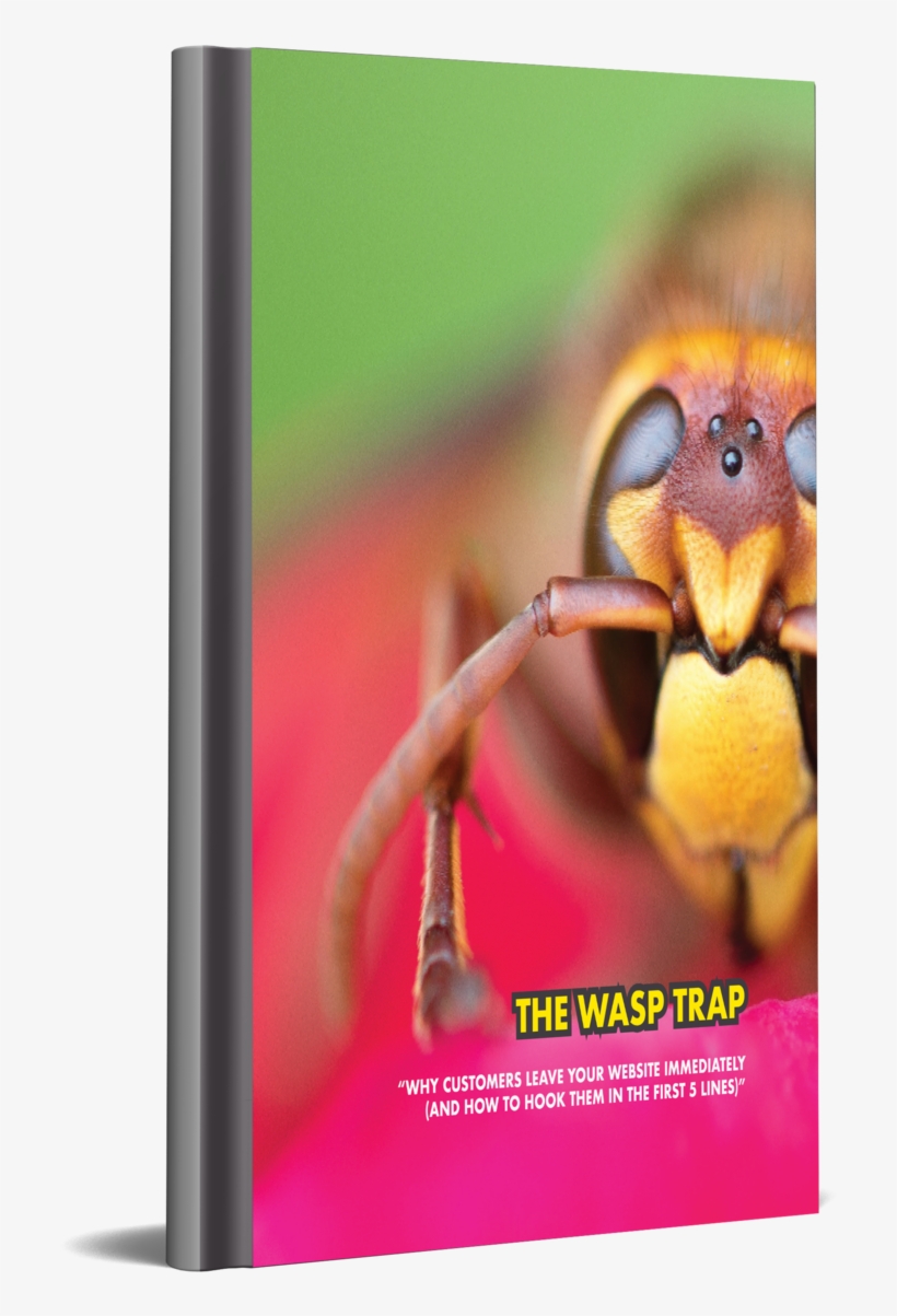 Wasp Trap - Hornet, transparent png