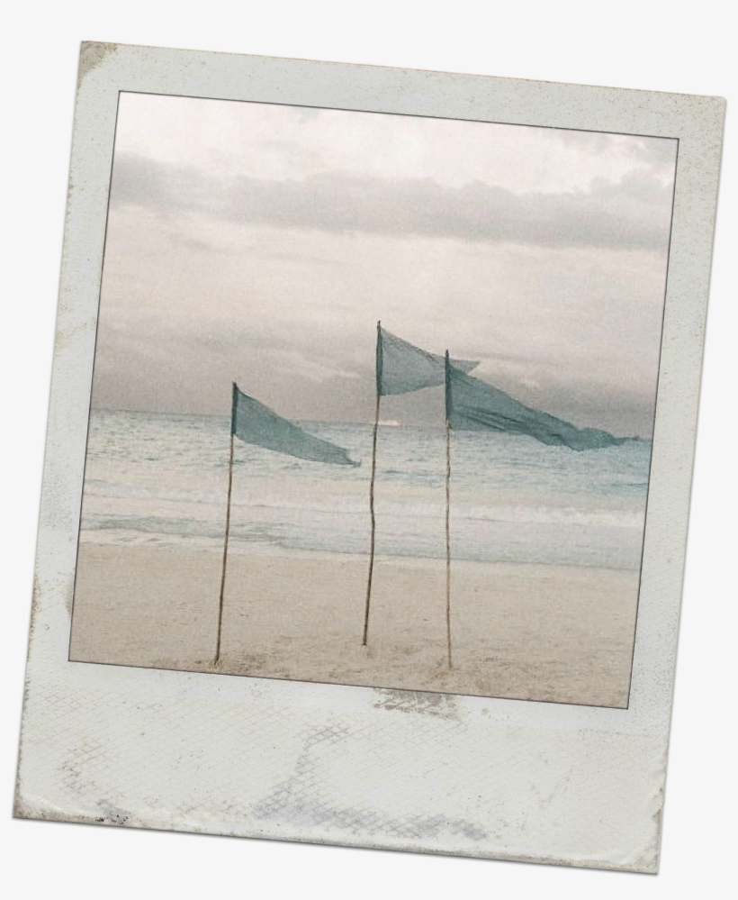 Thesummerwind1 - Painting, transparent png