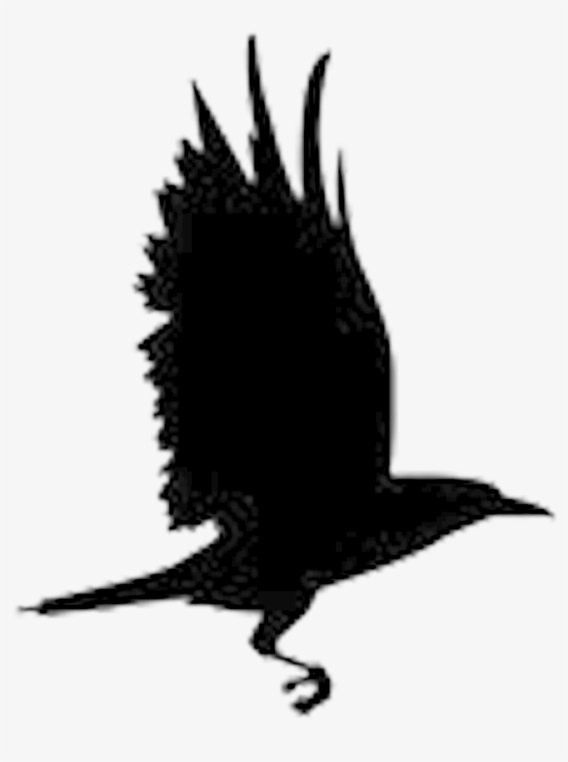 992 X 1026 9 - Raven New Hope Logo, transparent png