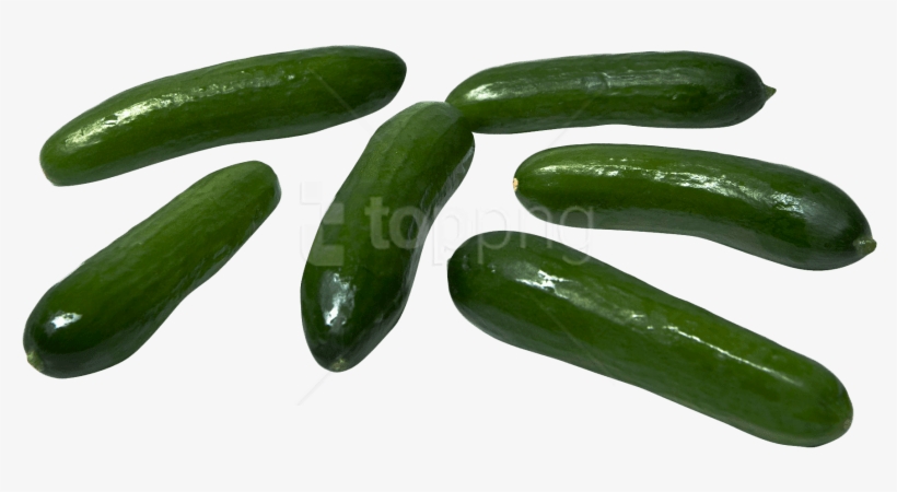 Free Png Cucumber Png Images Transparent - Cucumber, transparent png
