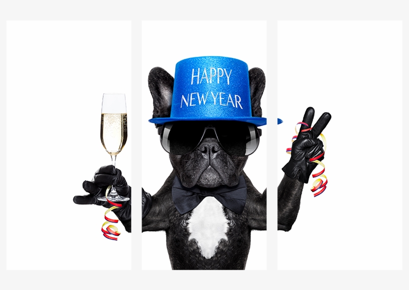 No Frame,no Stretch - Happy New Year Weird, transparent png
