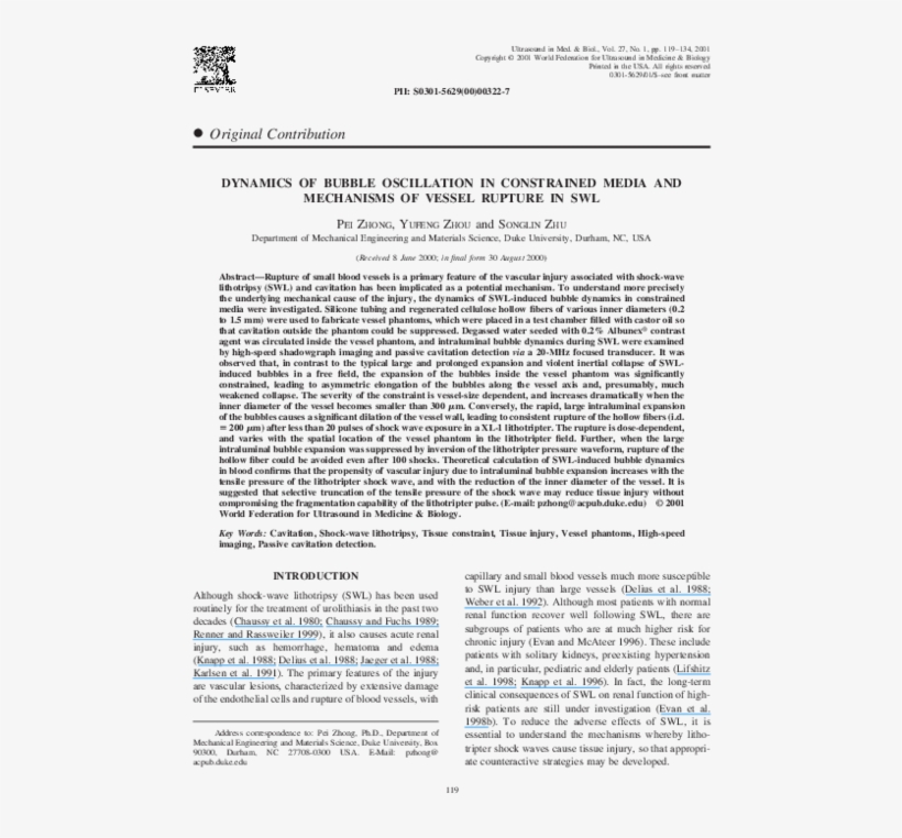 Dynamics Of Lithotripter Shock Wave Induced Bubble - Untitled, Headpiece, Pg. 17, In The Book Dingo By Octave, transparent png