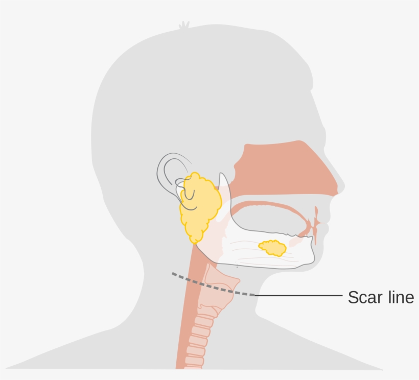 Open - Illustration, transparent png