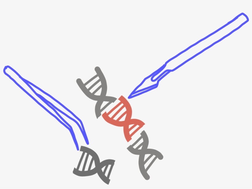 Genome Surgery, transparent png