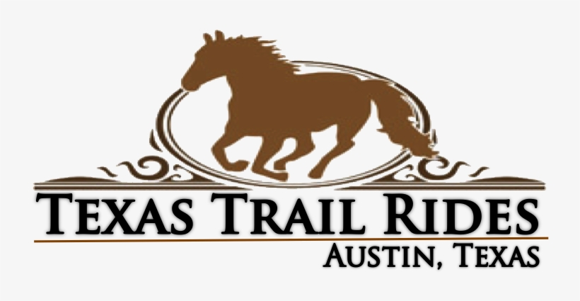 Misa Travel, transparent png