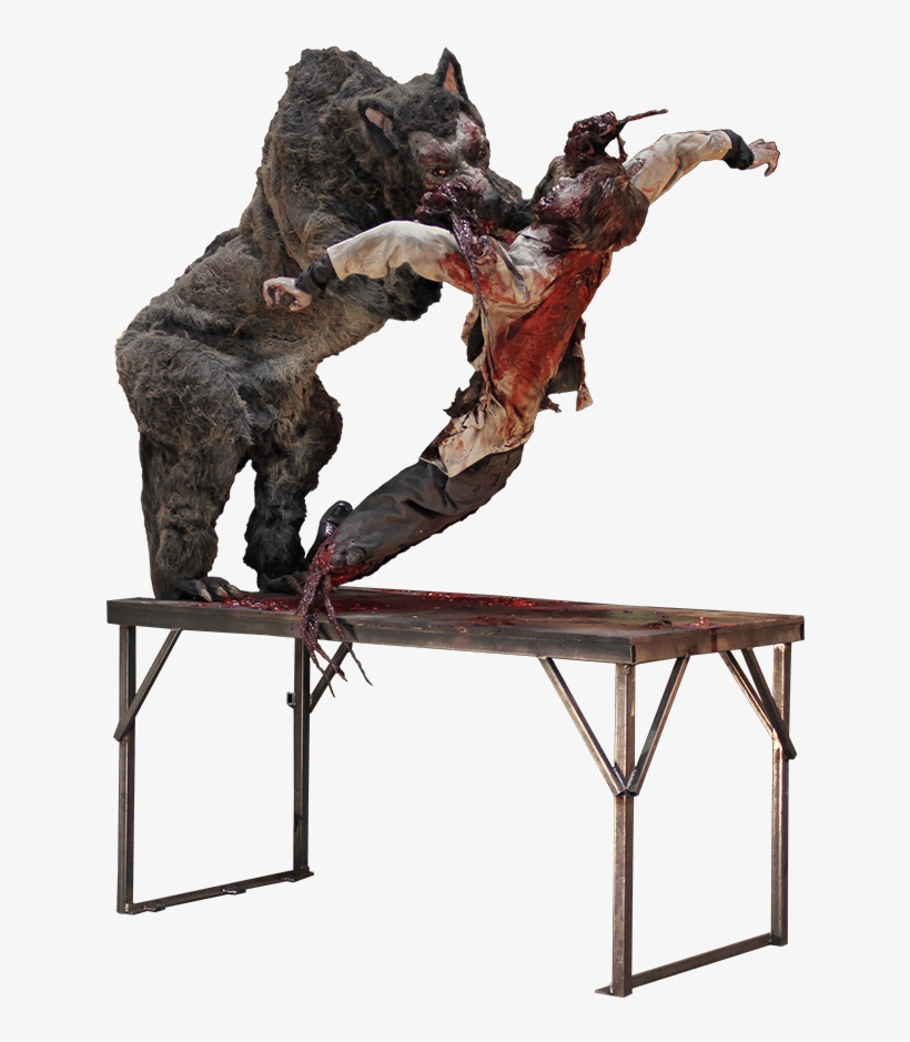 Super Sized Wolf - Wolf On Table, transparent png