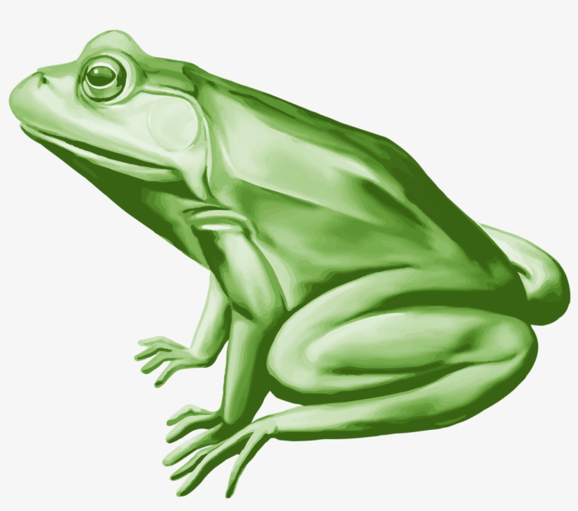 Фотки Clip Art, Album, Frogs, Illustrations, Pictures, - Frog, transparent png
