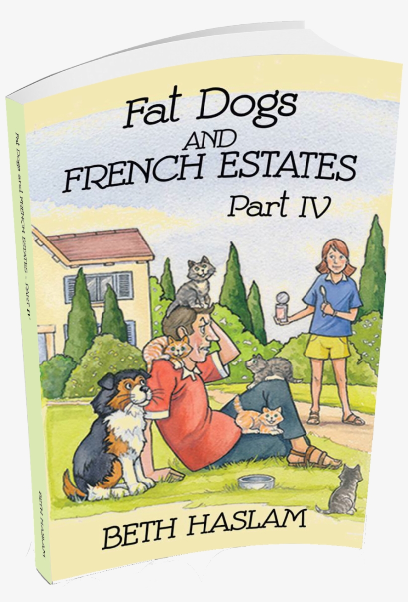 Beth Book Iv Thumbnail Fat Dogs 4 3d Book Cover Transp - Fat Dogs And French Estates -, transparent png