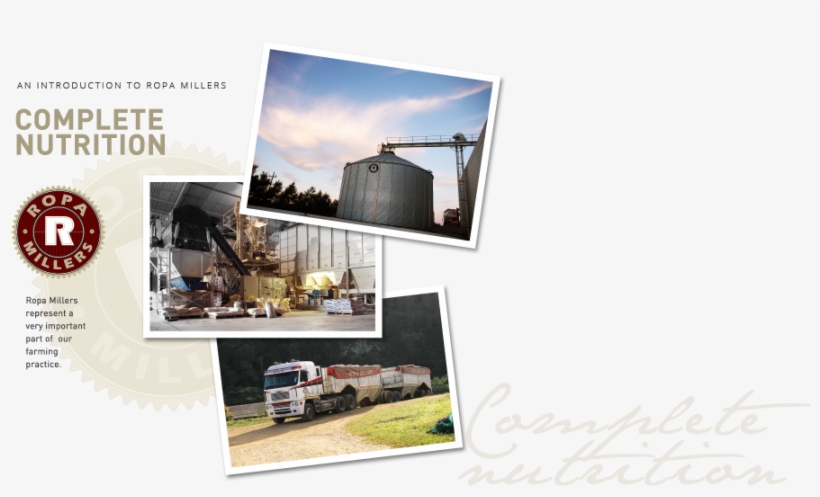 Riversmead Poultry Farm Ropa Millers - Architecture, transparent png