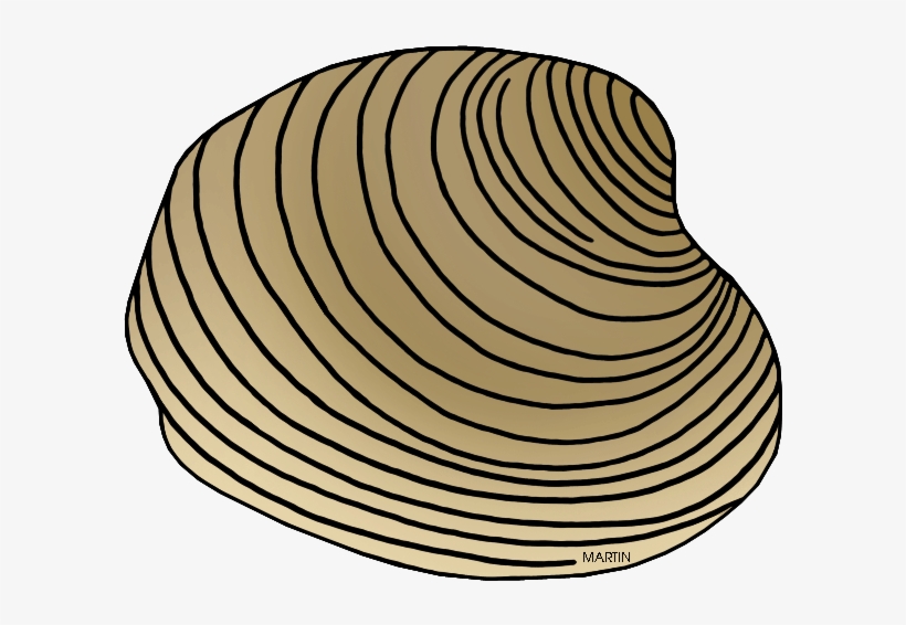 Shell Clipart Phillip Martin, transparent png