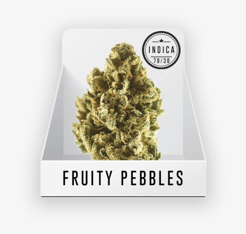 Medicine Man Denver - Mexican Pinyon, transparent png