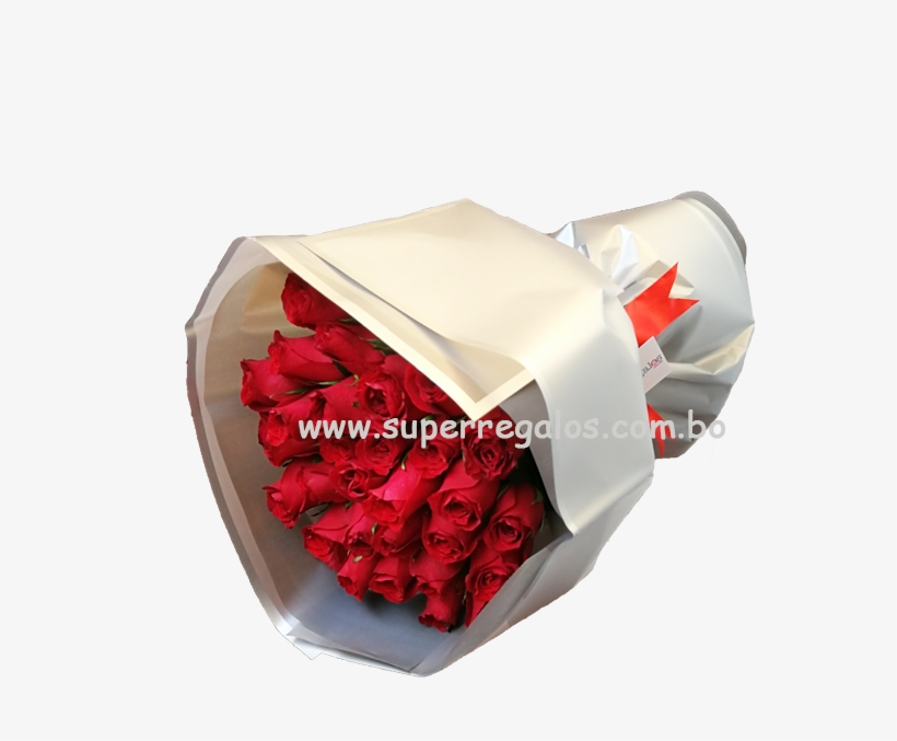 Aniversario - Garden Roses, transparent png