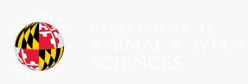 White Text On Transparent Background - University Of Maryland, transparent png